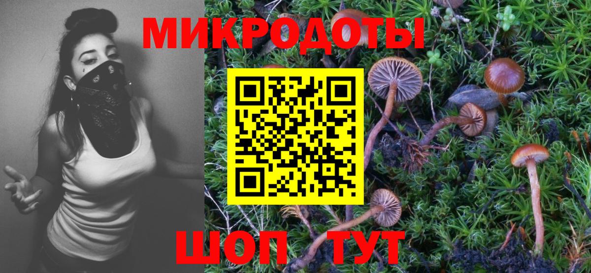 Псилоцибиновые грибы Magic Shrooms Братск